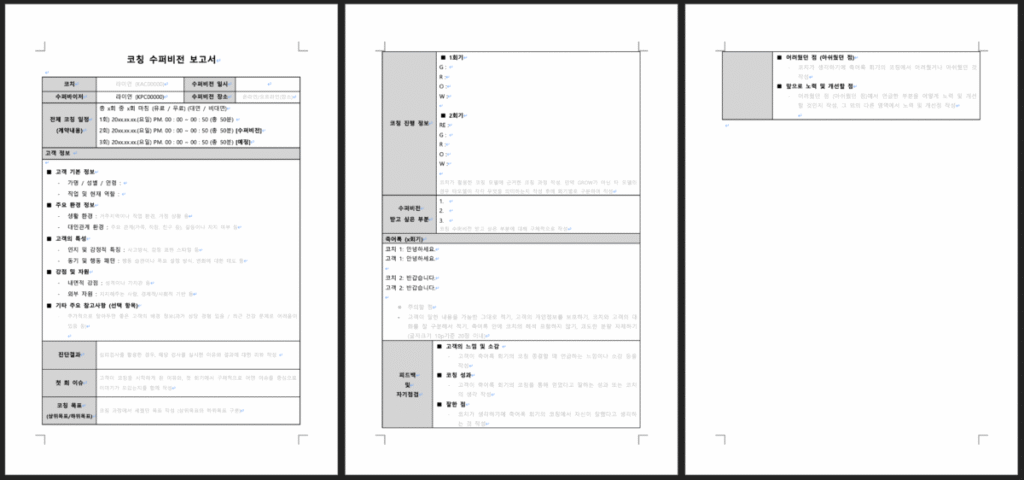 코칭 수퍼비전 보고서 이미지